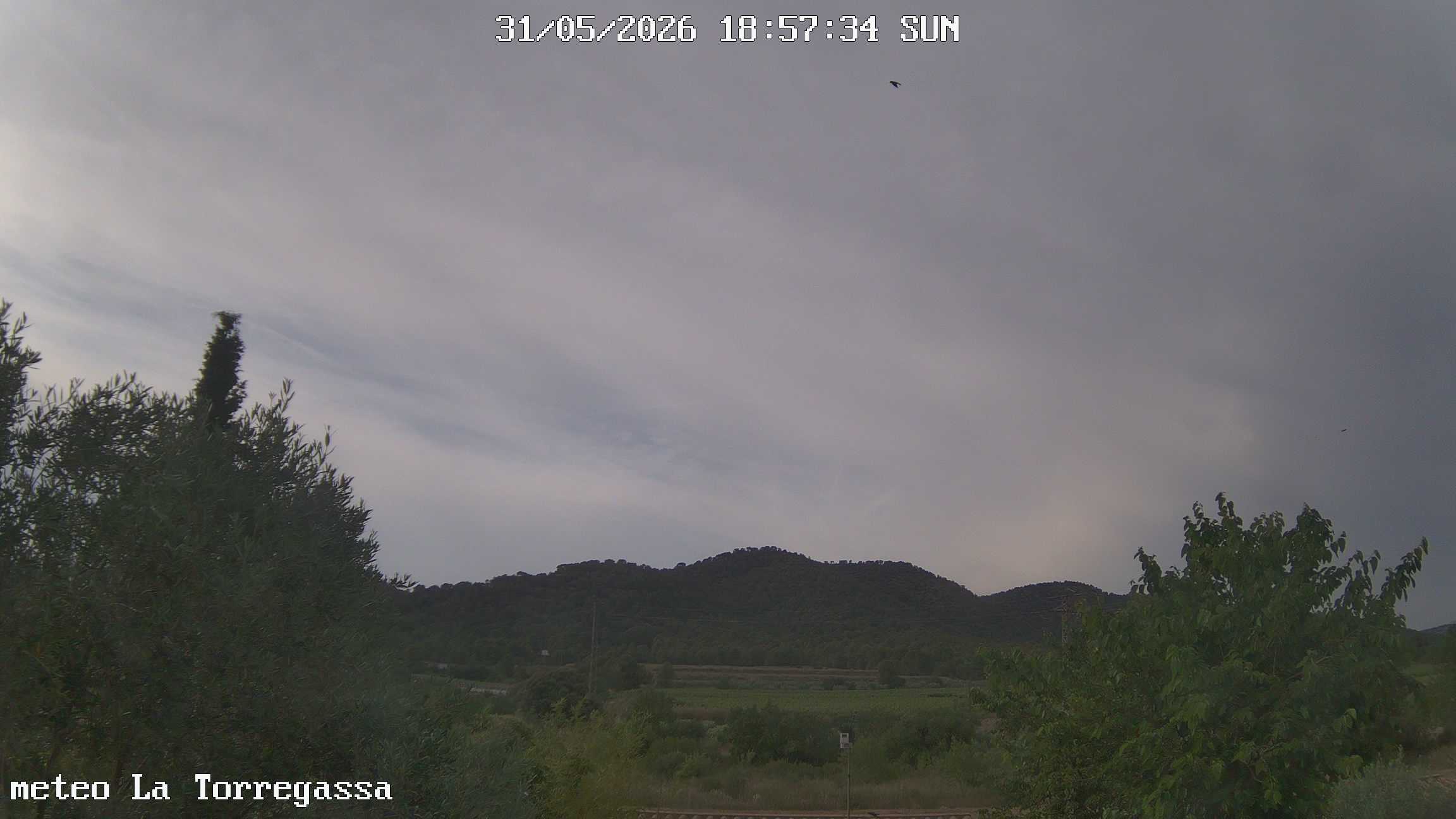 Webcam carregant